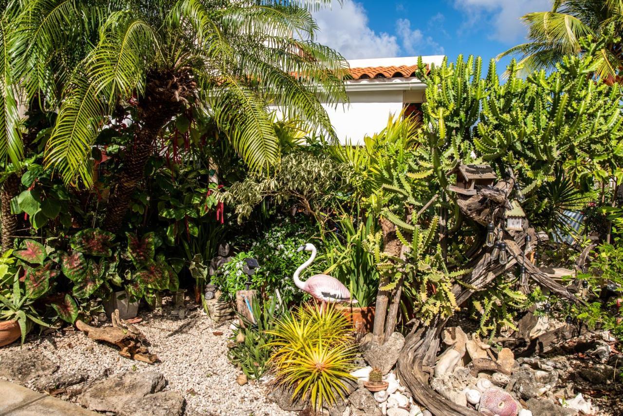 Hamlet Oasis Resort Playa Exterior photo