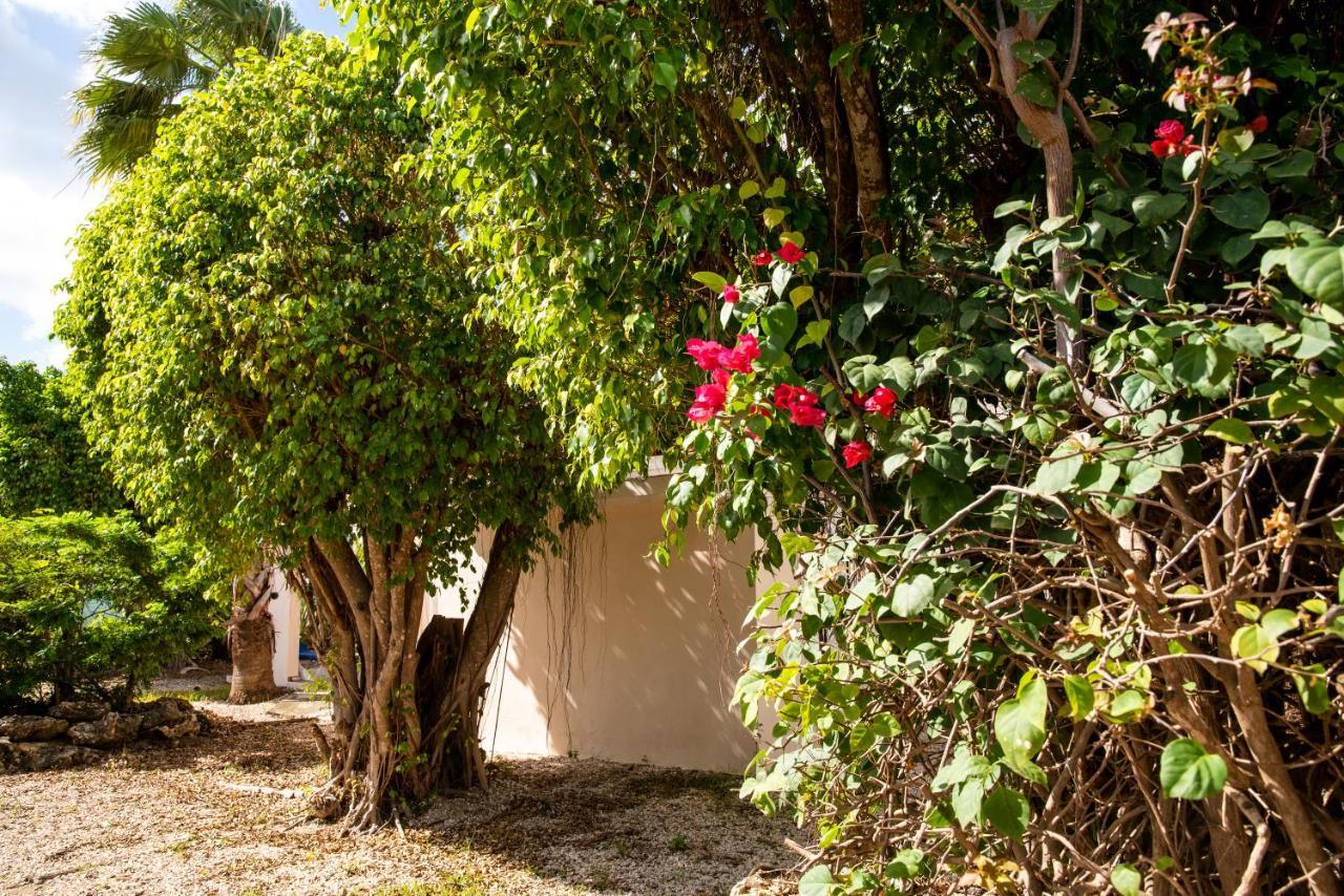 Hamlet Oasis Resort Playa Exterior photo