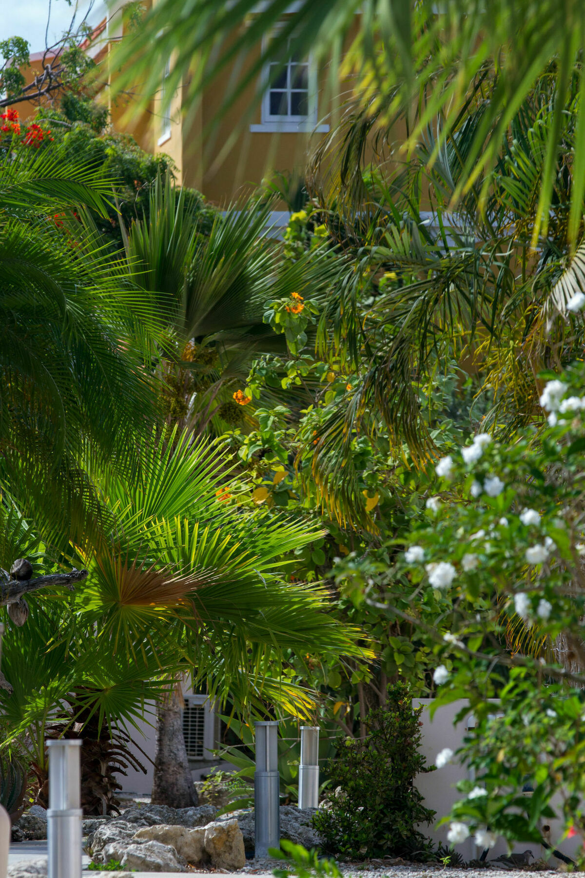 Hamlet Oasis Resort Playa Exterior photo