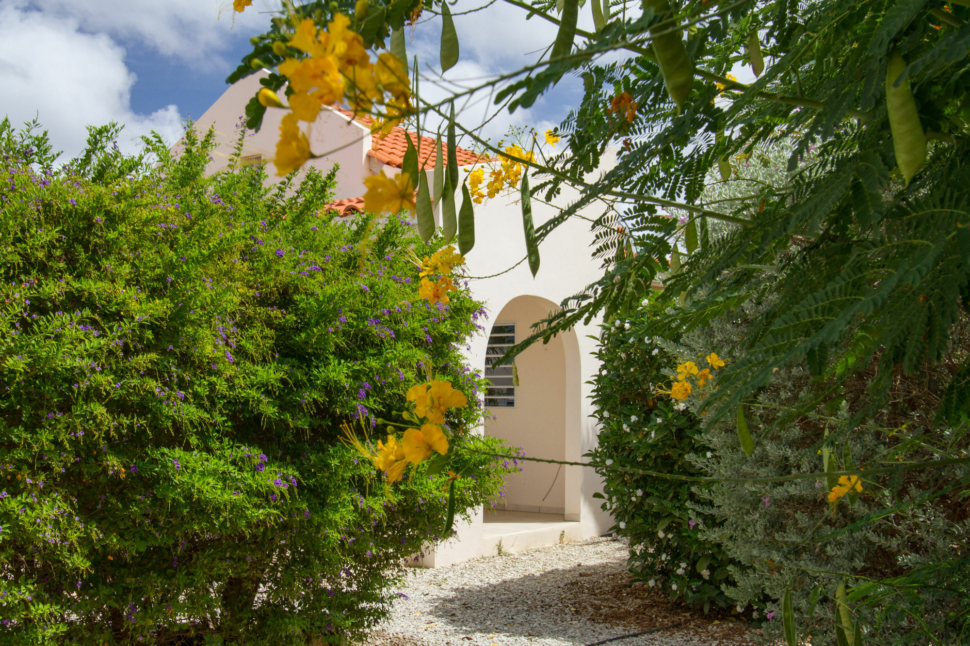 Hamlet Oasis Resort Playa Exterior photo