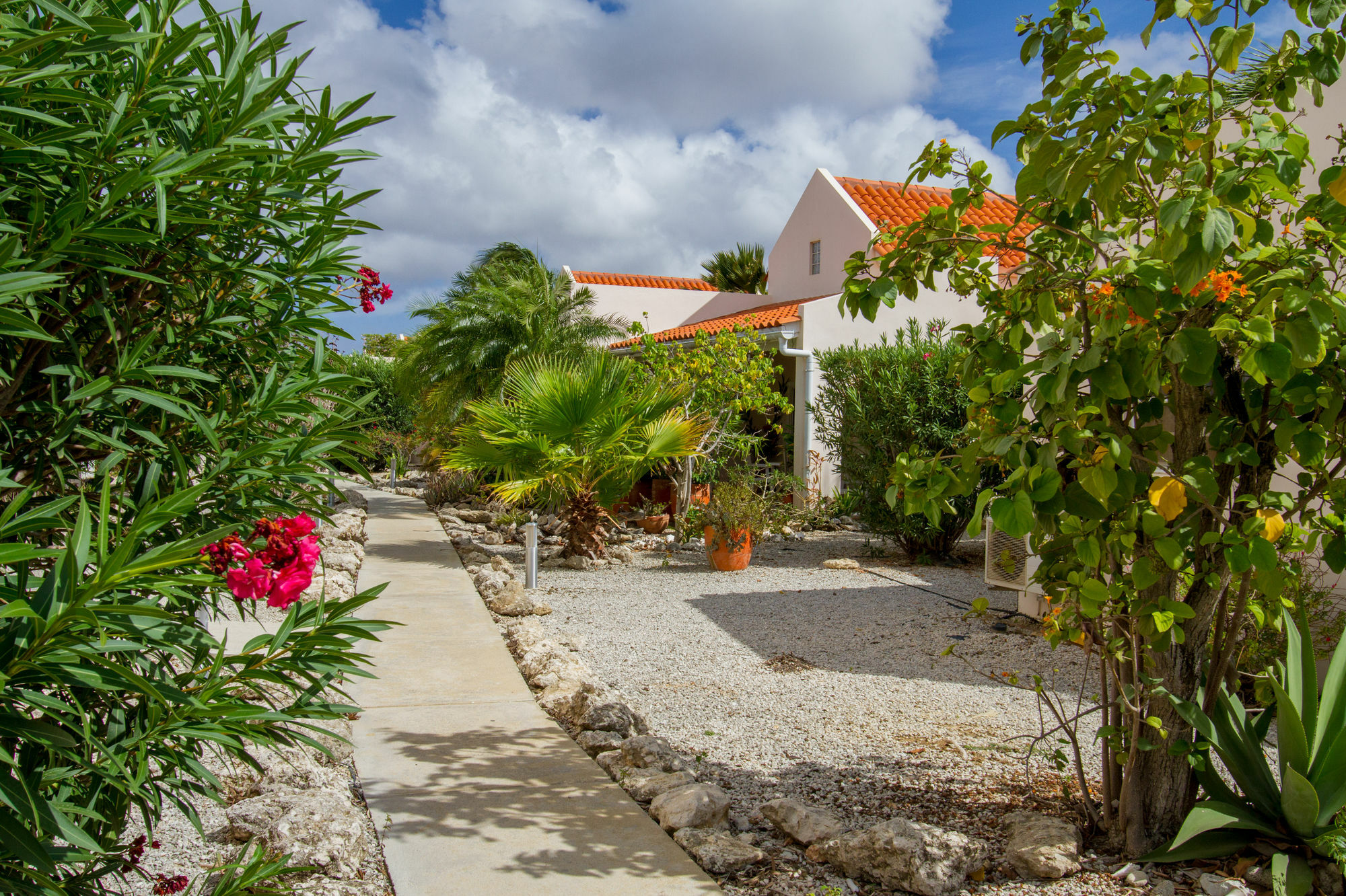 Hamlet Oasis Resort Playa Exterior photo
